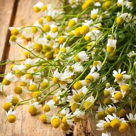 Pocket Garden, Herbal Tea
