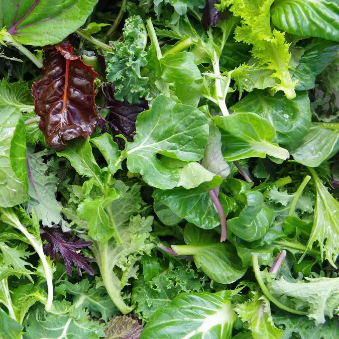 Pocket Garden, Gourmet Salad